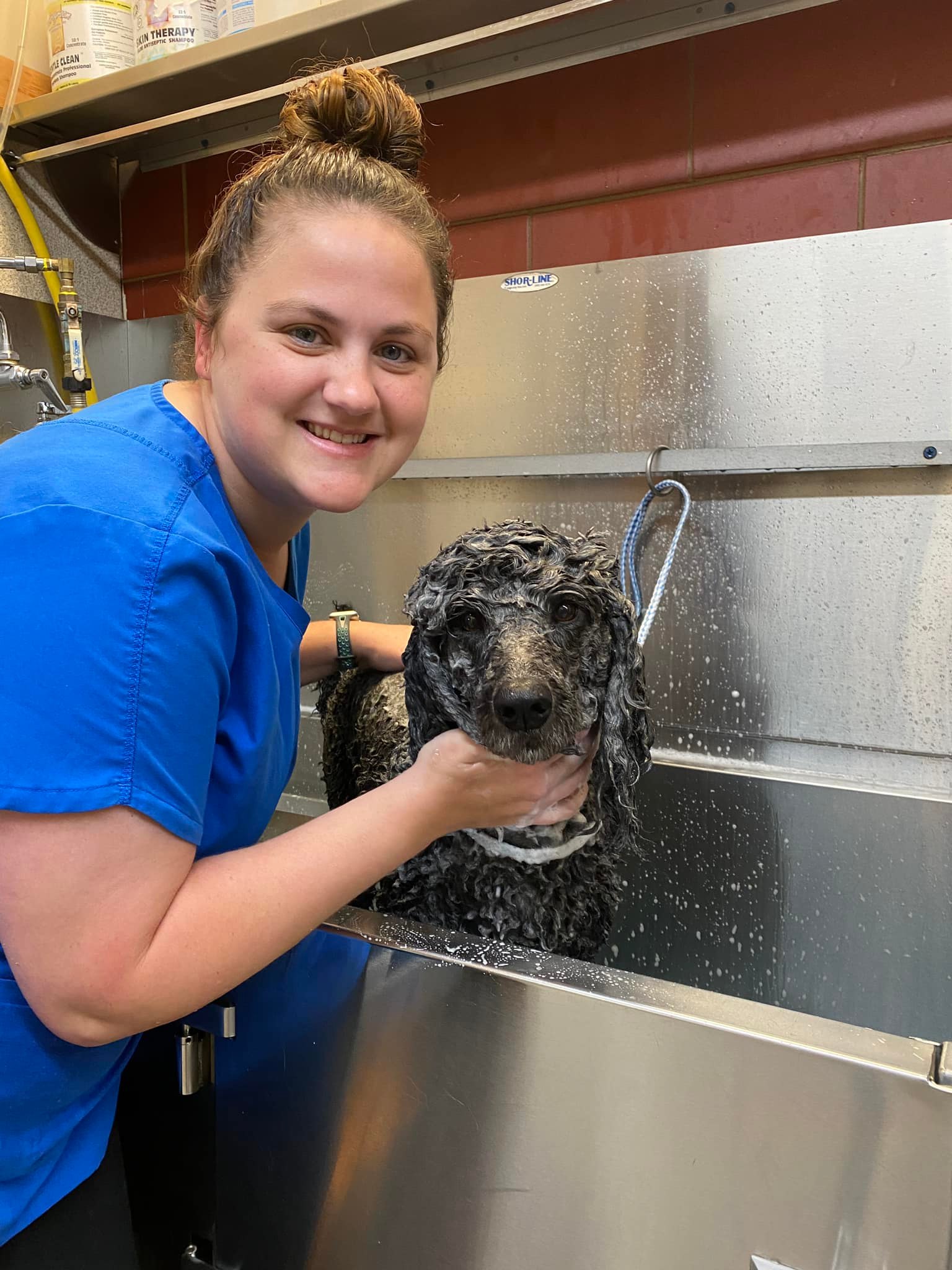 a person washing a dog in a sink