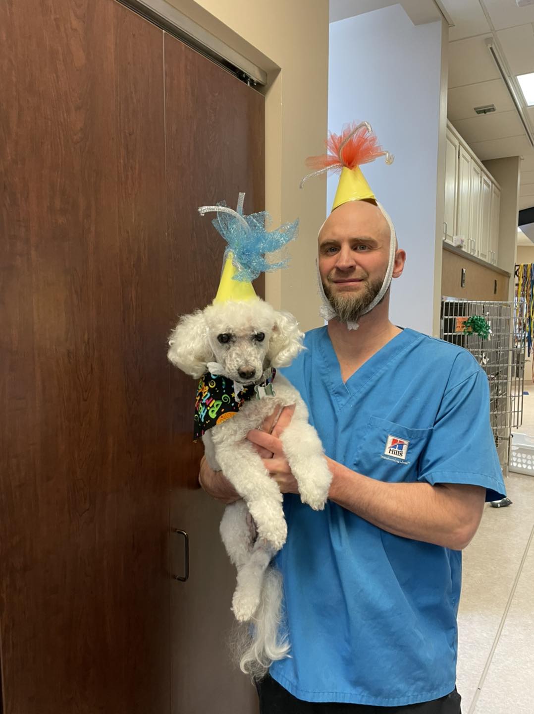 a person wearing a party hat and holding a dog